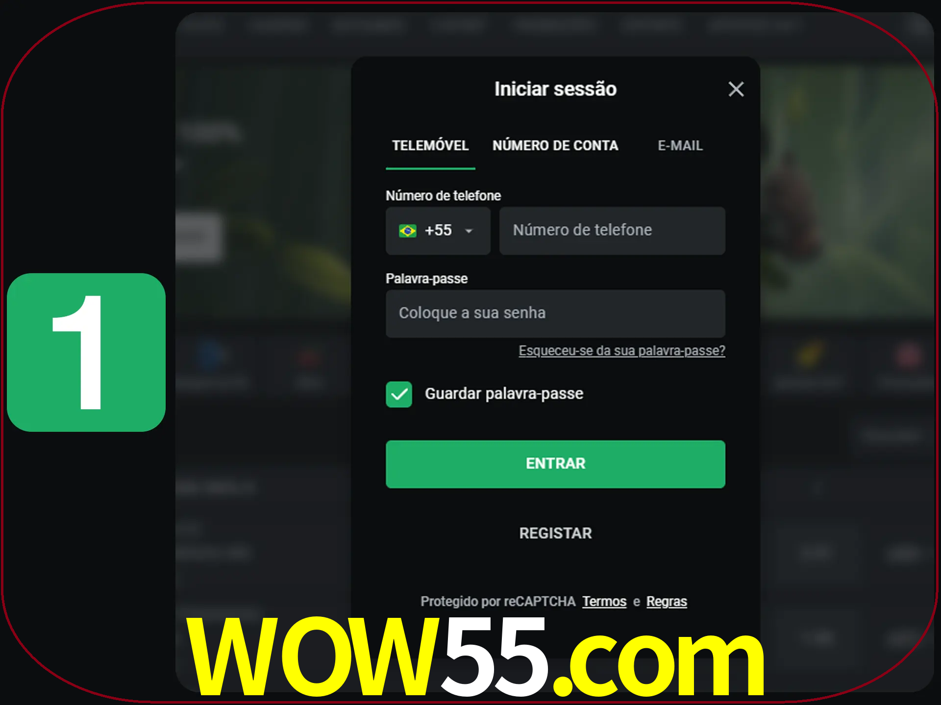 Clique no botão Entrar.